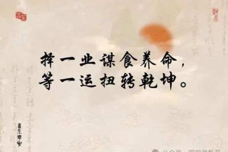 杀命养命，生命与生存的哲学思考