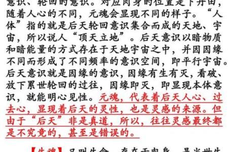 理解命与命令：从古至今的精神传承与文化思考