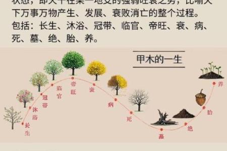 命理相克的秘密：如何掌握命运与人际关系的微妙平衡