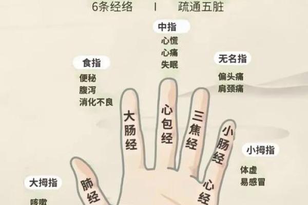 手指的秘密:顺指与逆指的命运之道 手指的秘密:顺指与逆指的命运之道