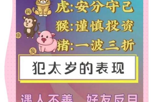 揭秘占太岁:你可能不知道的命运密码和风水智慧 揭秘占太岁:你可能不知道的命运密码和风水智慧