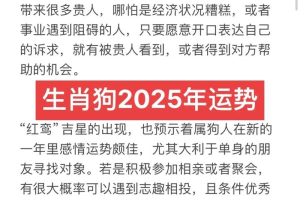 属狗1960年的人生命运解析:狗年出生者的性格与运势探秘 属狗1960年的人生命运解析:狗年出生者的性格与运势探秘