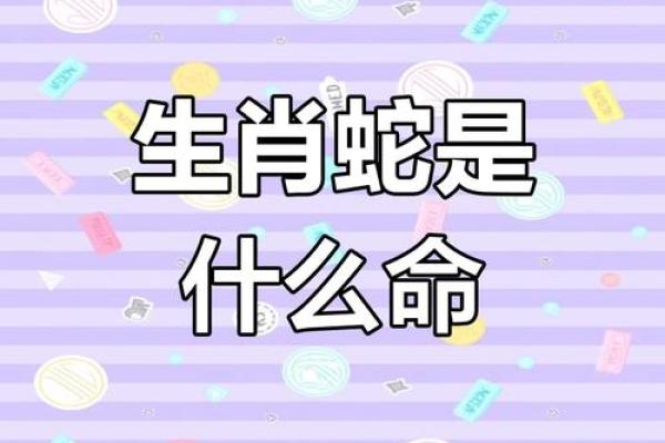 揭开天命生肖的神秘面纱:你属于哪一种命运? 揭开天命生肖的神秘面纱:你属于哪一种命运?
