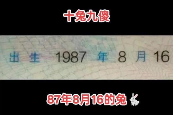 属免的87年是什么命?解读属兔人的命理与运势 属免的87年是什么命?解读属兔人的命理与运势