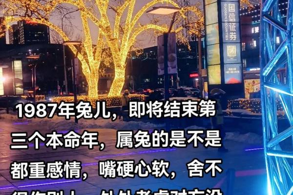 属免的87年是什么命?解读属兔人的命理与运势 属免的87年是什么命?解读属兔人的命理与运势