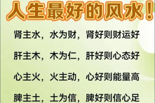 男孩儿水命有哪些忌讳，如何更好地发挥其优势？