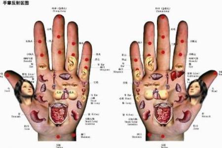 手指的秘密：顺指与逆指的命运之道