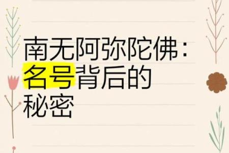 解密女命五两二：命理背后的秘密与智慧