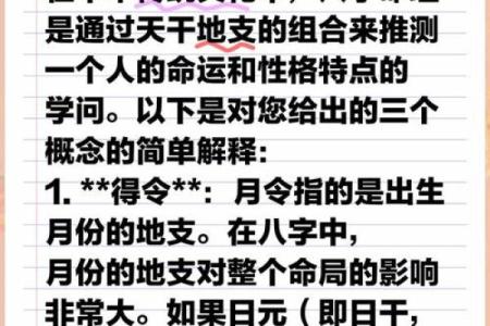 揭秘一九九六年出生人的命运与性格特点，深度解析命理背后的智慧
