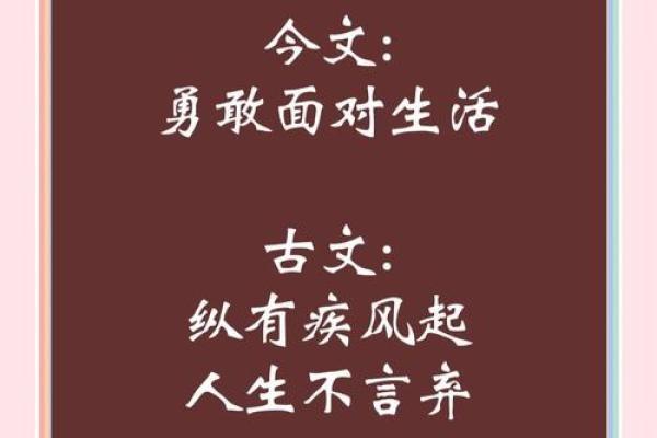 舍生取命:勇敢而深刻的人生哲学 舍生取命:勇敢而深刻的人生哲学