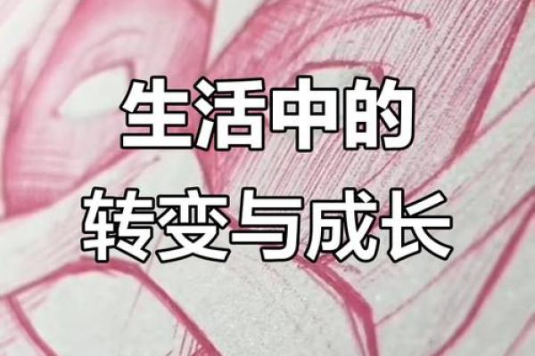 舅子命为何不及姑爷命?探讨家庭角色的隐秘力量 舅子命为何不及姑爷命?探讨家庭角色的隐秘力量