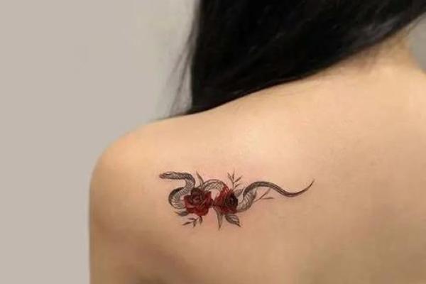 属蛇的木命:适合的纹身设计与意义探讨 属蛇的木命:适合的纹身设计与意义探讨