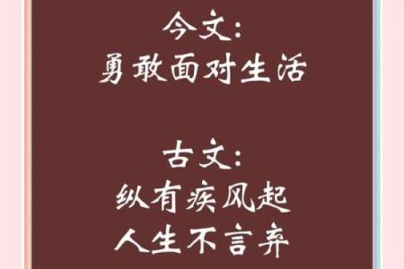 舍生取命：勇敢而深刻的人生哲学