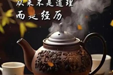 沙中土命与他命的最佳配搭：人生路上的良缘与助力