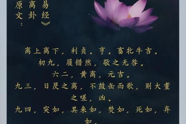 女命卦离：解读阴柔力量与内心追求的智慧之光