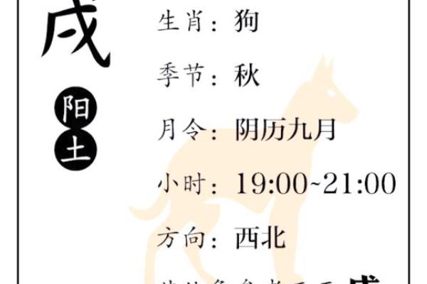 属狗之人在四月出生:命运与性格的深度解析 属狗之人在四月出生:命运与性格的深度解析