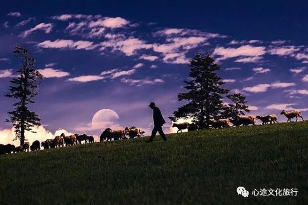 九月出生的羊儿:星辰引领下的命运探秘 九月出生的羊儿:星辰引领下的命运探秘