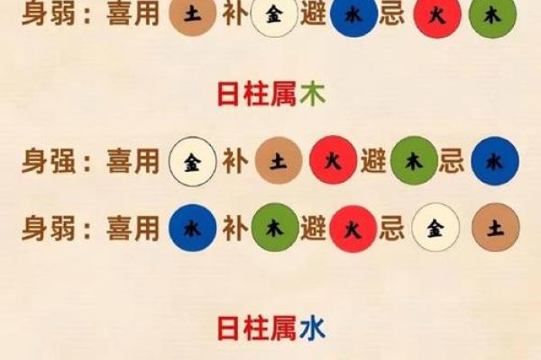 如何通过五行了解你的命理特征，揭示人生秘密！