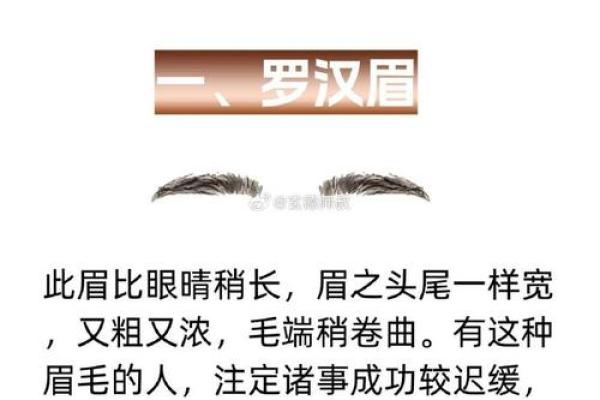 女人眉毛的命运之谜:眉型与运势的深层关系 女人眉毛的命运之谜:眉型与运势的深层关系