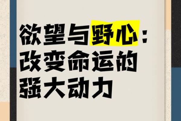 解读“命之命” 生命、命运与自我价值的关系探索 解读“命之命” 生命、命运与自我价值的关系探索