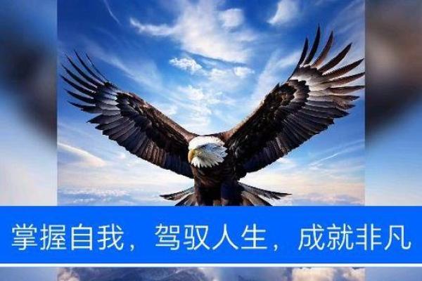 命运的航行：每个人都能找到自己的方向与归属