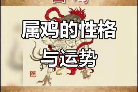 属鸡人的命运与性格分析：从出生年份看人生之路