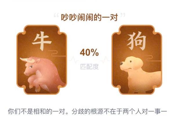 属狗女人的命运解析:忠诚奋斗与温暖家庭的完美结合 属狗女人的命运解析:忠诚奋斗与温暖家庭的完美结合