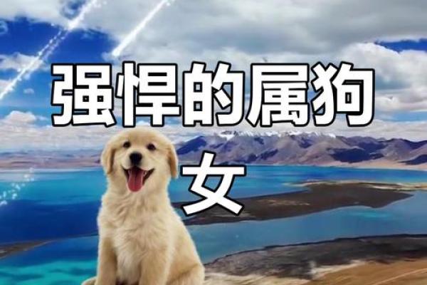 属狗女人的命运解析:忠诚奋斗与温暖家庭的完美结合 属狗女人的命运解析:忠诚奋斗与温暖家庭的完美结合