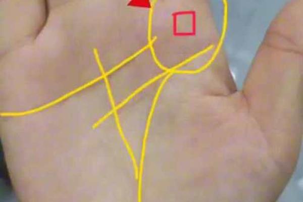 揭秘!手纹暗示:哪些男人注定财富满满? 揭秘!手纹暗示:哪些男人注定财富满满?