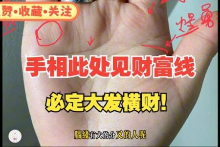 揭秘！手纹暗示：哪些男人注定财富满满？