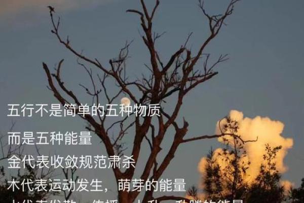 命理中的男缺土与女缺金，如何影响婚姻与相处？