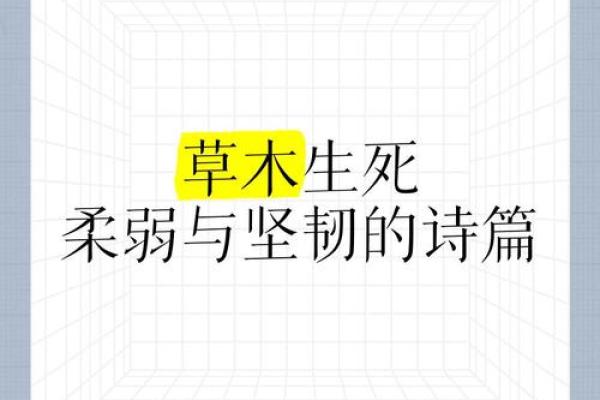 解析“娇”的深层含义:柔弱与坚韧的交织之美 解析“娇”的深层含义:柔弱与坚韧的交织之美