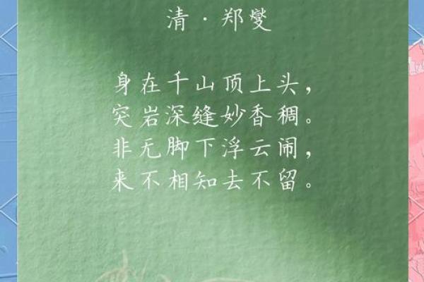 解析“娇”的深层含义:柔弱与坚韧的交织之美 解析“娇”的深层含义:柔弱与坚韧的交织之美