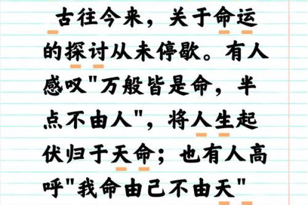 人多长两块骨头的命运与人生追寻的深意
