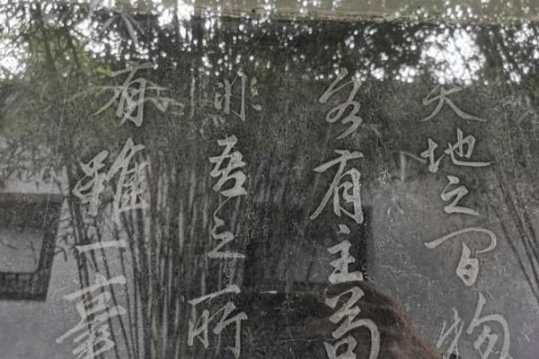 离祖成家之命：寻找人生的另外一片天地