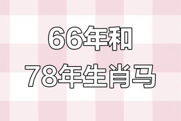 属马的人在1978年出生的命运解析与人生轨迹 属马的人在1978年出生的命运解析与人生轨迹