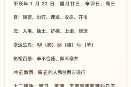 根据什么命喜什么命，解密命理之道的成语智慧