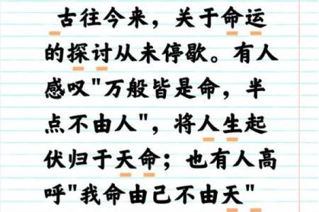 人多长两块骨头的命运与人生追寻的深意