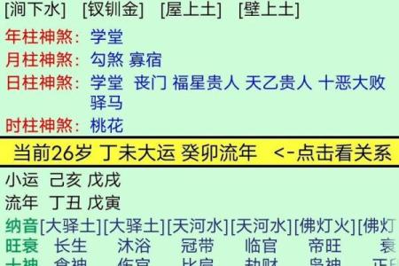 时辰官杀在命理中的深刻解析：何为官杀，如何解读？