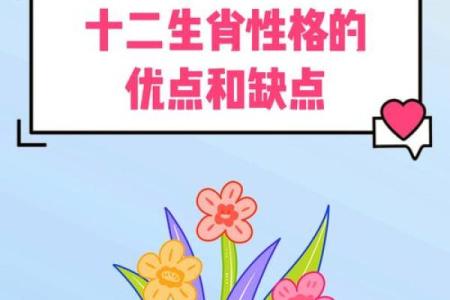 女属虎的缺点与性格剖析：如何改进以更好地生活