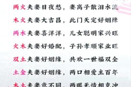 属马的人在1978年出生的命运解析与人生轨迹