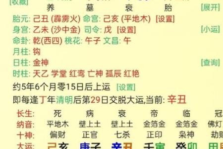 女命八字分析：探寻女性求财的最佳途径与方法