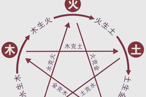 木命女人与其他命理的完美合作,揭示幸福人生的奥秘! 木命女人与其他命理的完美合作,揭示幸福人生的奥秘!