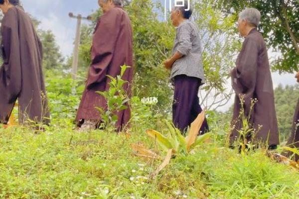 农历十九出生的人：揭开命运的神秘面纱与生活指南