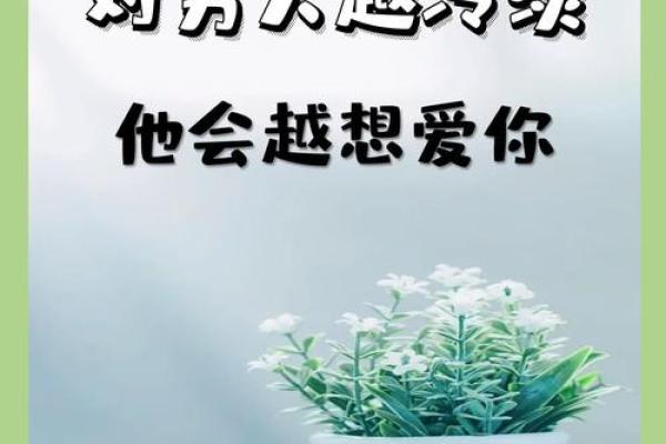 拼了命的想爱你：爱与悔的动人交响曲