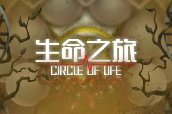 如何了解自己的命格：男孩们的命运探索之旅