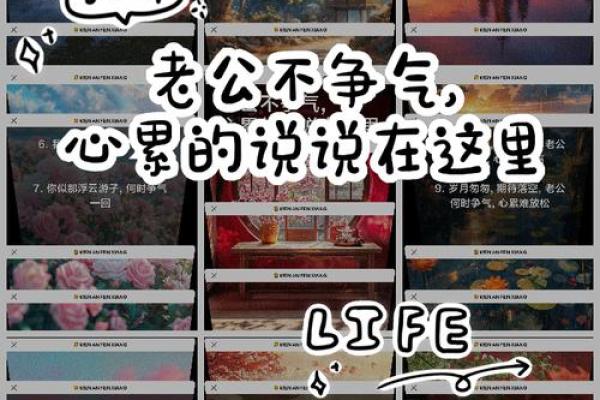 人很争气，命不争气：探寻命运与努力之间的微妙关系