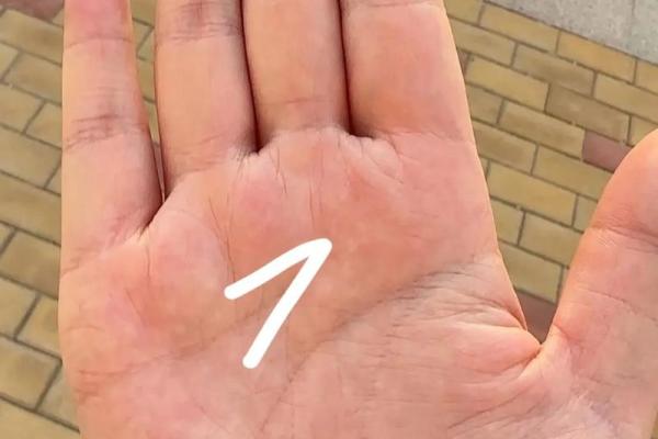 揭秘手掌富贵命:生活中容易被忽略的命运潜力 揭秘手掌富贵命:生活中容易被忽略的命运潜力