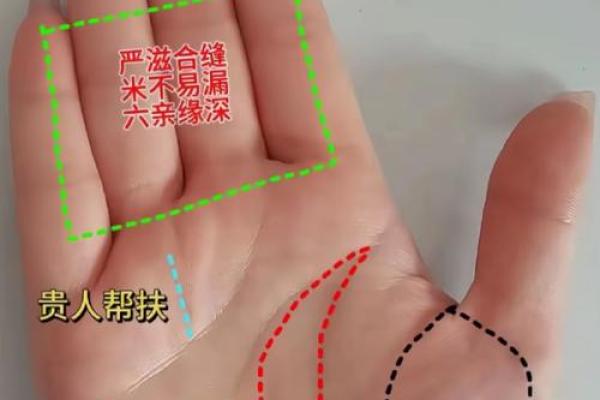 揭秘手掌富贵命:生活中容易被忽略的命运潜力 揭秘手掌富贵命:生活中容易被忽略的命运潜力