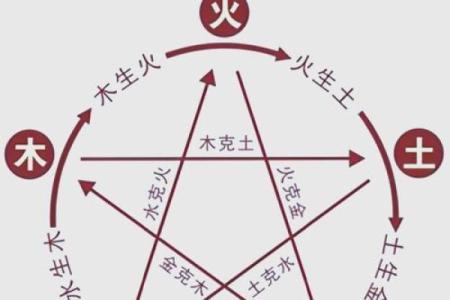 木命女人与其他命理的完美合作，揭示幸福人生的奥秘！